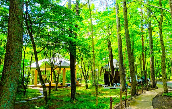 9月スタート★コンビニやスーパーは徒歩圏内👍50代・60代のご応募大歓迎です♪【軽井沢】
