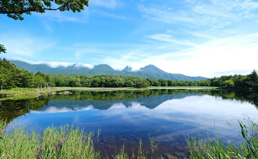徒歩圏内にコンビニ・スーパーあり／wi-fi完備の個室寮【生活環境◎】大自然に囲まれた世界自然遺産・知床でリゾートバイト🍀