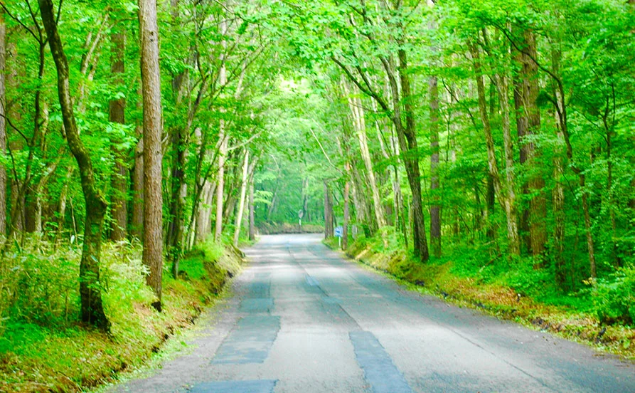 長野県軽井沢のレストラン✨涼しくなってくる9月スタート！【軽井沢の話題の観光スポットエリアにあり、利便性抜群♪】