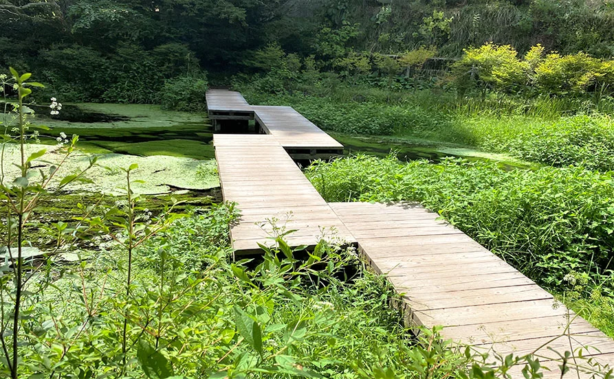 GWはリゾートバイト✨ファミリー層に人気の施設でバイキングの募集💁‍♂️子供好きな方にオススメ💡【未経験者歓迎】