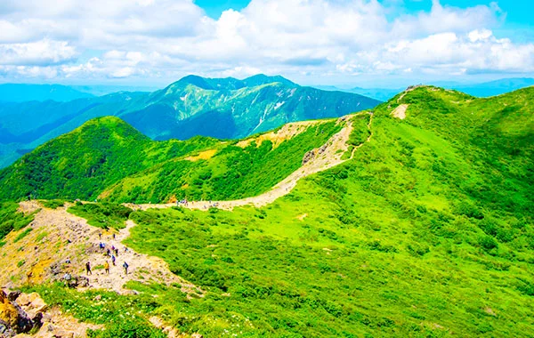 ＼那須高原／とても綺麗な施設☆寮は人気の完全個室タイプ！接客経験がある方にオススメ💡