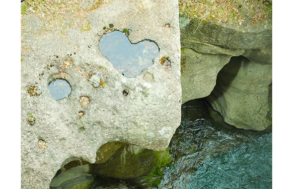 解放感たっぷりのビュッフェスタイルのレストランです✨3食(朝・昼・晩)！館内のプールにも入れます