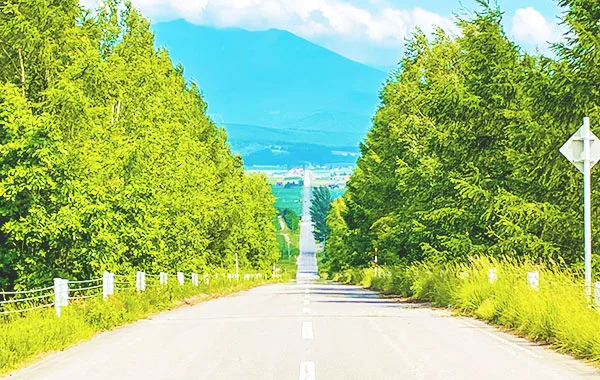 量環境画像（右下の画像）