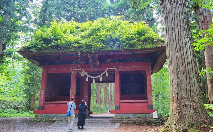 【急募】調理師の方におすすめ💡高時給の案件☆ちょっとした接客要素も💁‍♂️館内寮♪