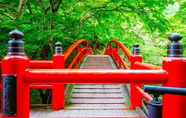 秋シーズン🍂寮費無料！徒歩1分！完全個室タイプ！年齢幅広くご応募お待ちしております🙌【伊香保温泉】