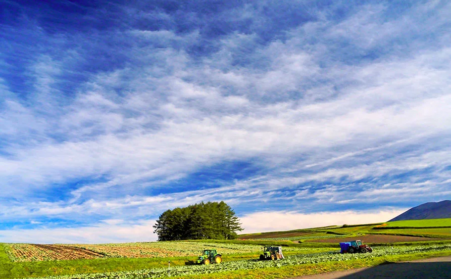 量環境画像（右下の画像）