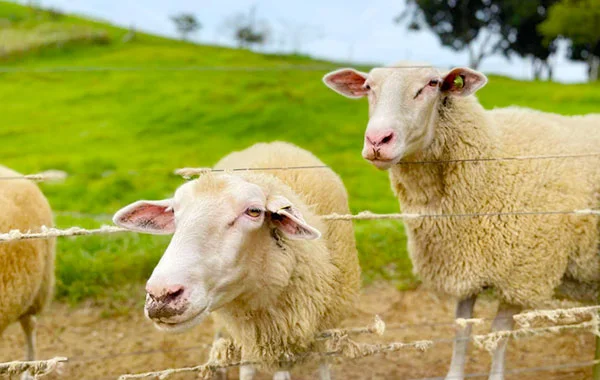 スーパー短期🔥【裏方業務】モクモク作業が好きな方におすすめ！《大浴場の清掃担当🧼》太平洋を一望するホテルでリゾートバイト🌴