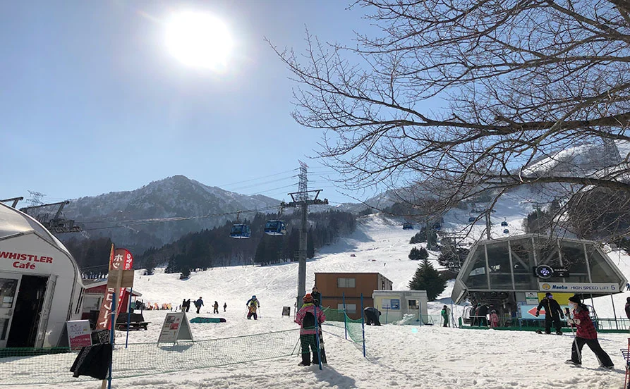 スキー場の特典がてんこ盛り🤗❄苗場エリアの老舗本格旅館で調理補助の募集です!