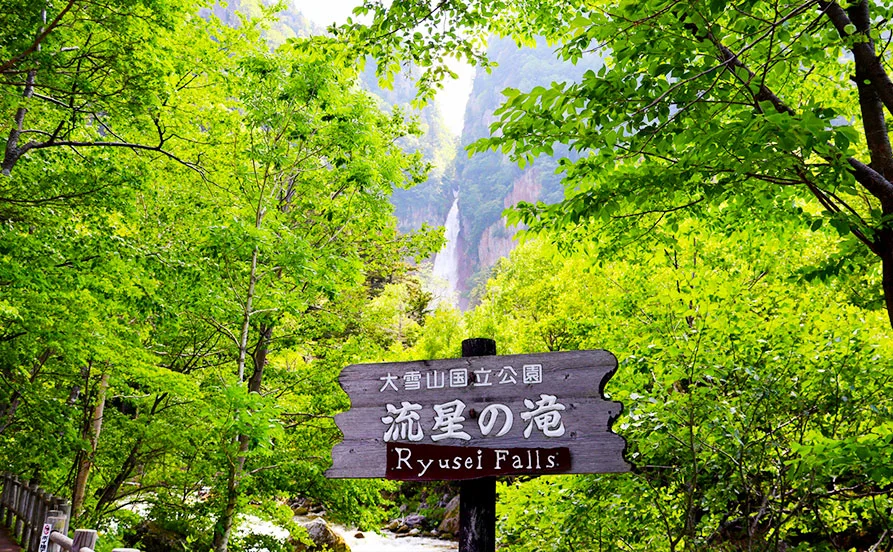 求人メイン
