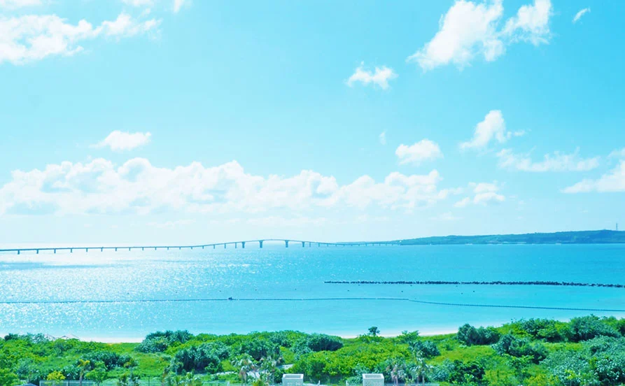 HP用スライダー画像1(左半分)