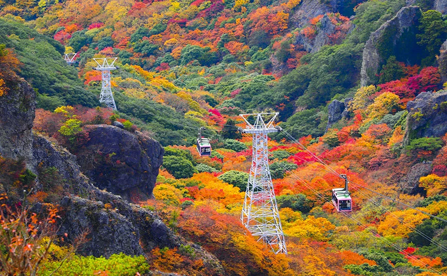 秋の小豆島でリゾートバイト🌴【Wi－Fi完備】寮はホテル目の前！通勤楽々♪《自転車貸し出し有🚲》