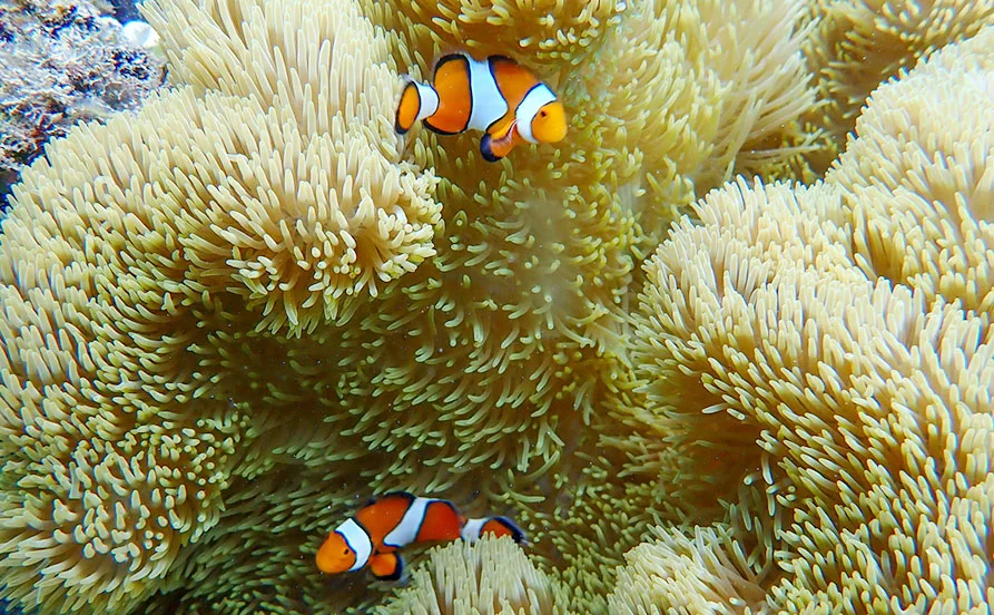 HP用スライダー画像2（右上）