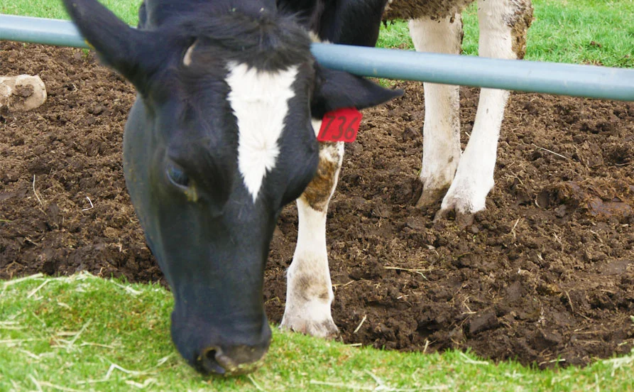 HP用スライダー画像2（右上）