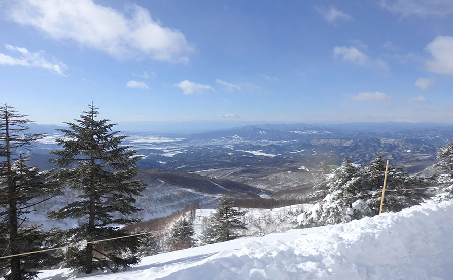 求人メイン