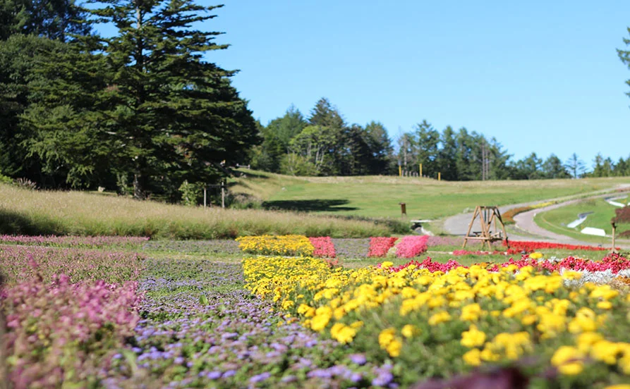 量環境画像（右下の画像）