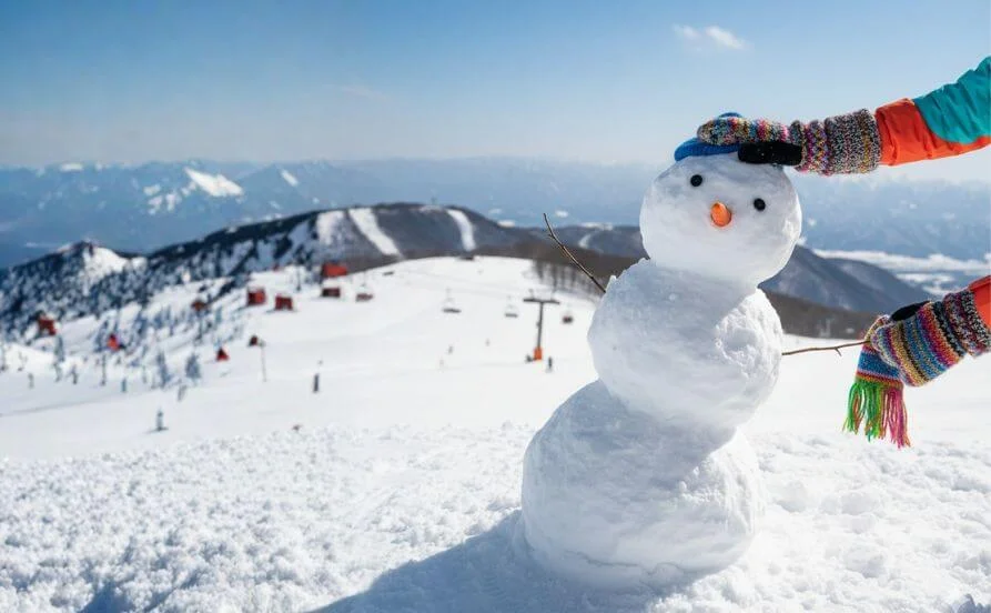 量環境画像（右下の画像）