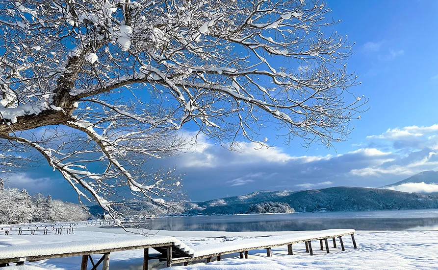 妙高高原の老舗旅館で調理補助のお仕事☆スキー場のリフト券もついてくる⛄