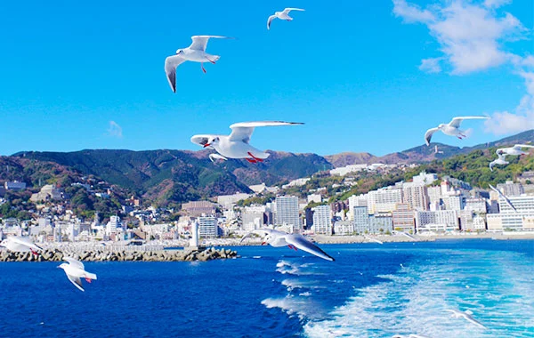 ＼未経験者歓迎／リゾートバイト人気エリア熱海☆高級旅館で調理補助のお仕事です！