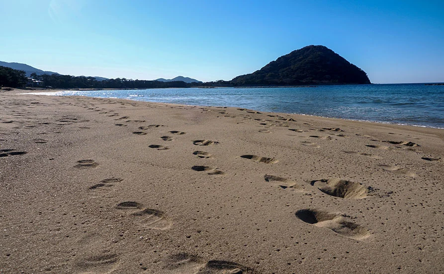 オーシャンビューホテル【友人同士の応募OK 】歴史が息づく山口県 萩でリゾートバイト