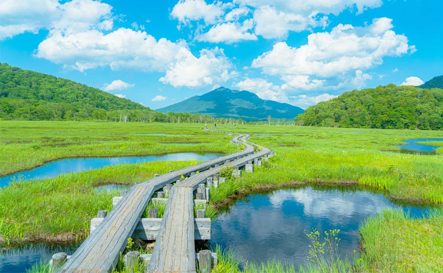 ＼群馬／水上温泉随一の随一の老舗旅館♢コンビニ・スーパーも近く、水上駅にもアクセス◎