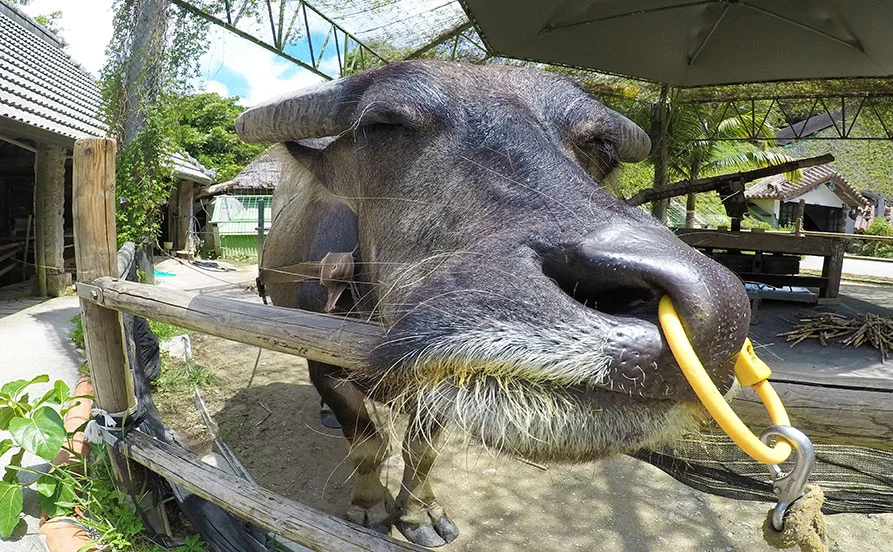 求人メイン