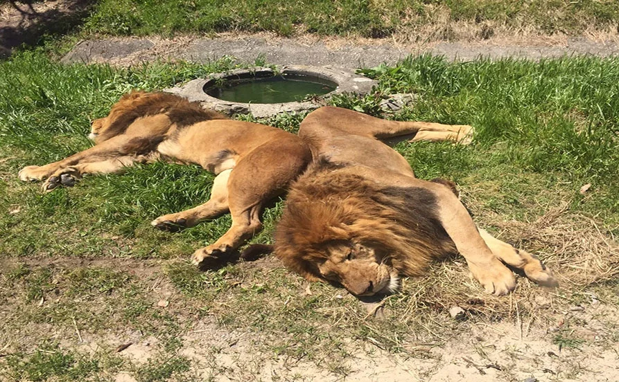《高時給💰》年末年始☆短期リゾートバイト✨寮費無料で食事付きの好条件♪