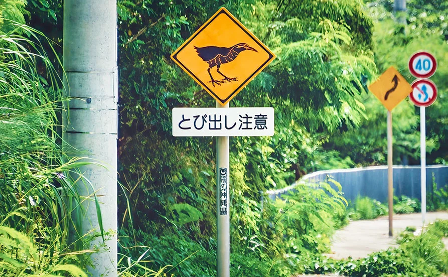 求人メイン