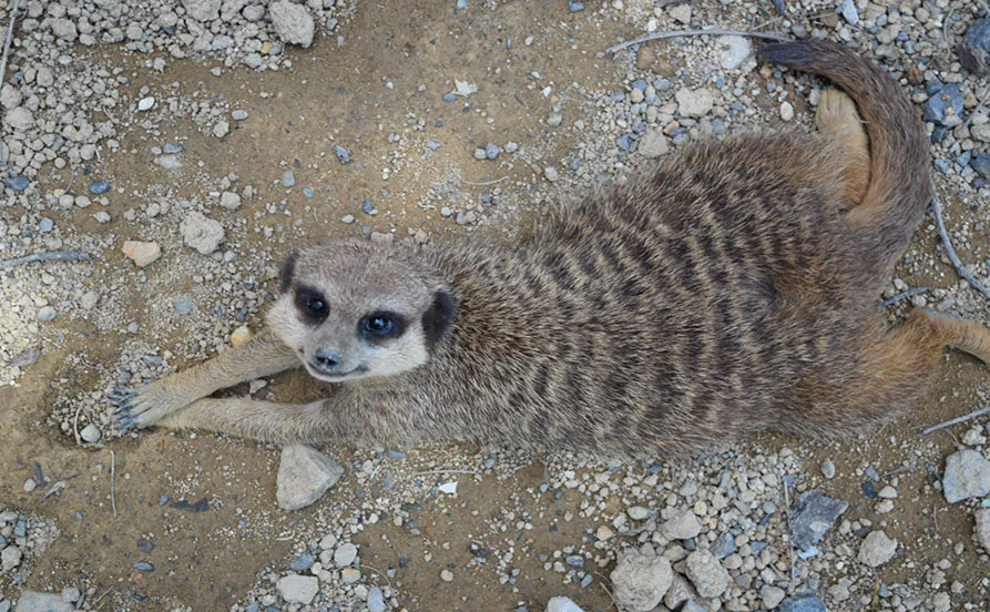 HP用スライダー画像2（右上）