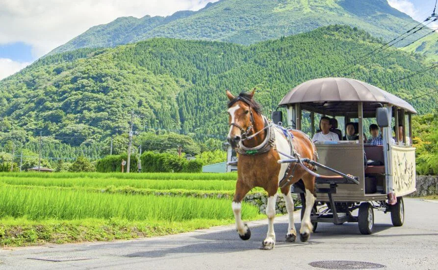 量環境画像（右下の画像）