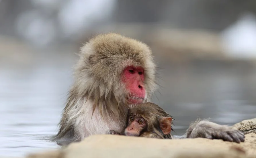 未経験OK🔰元気で体力のある方大歓迎です!生活費がほとんどかからないから貯金しやすい!毎日のお風呂は温泉です♨