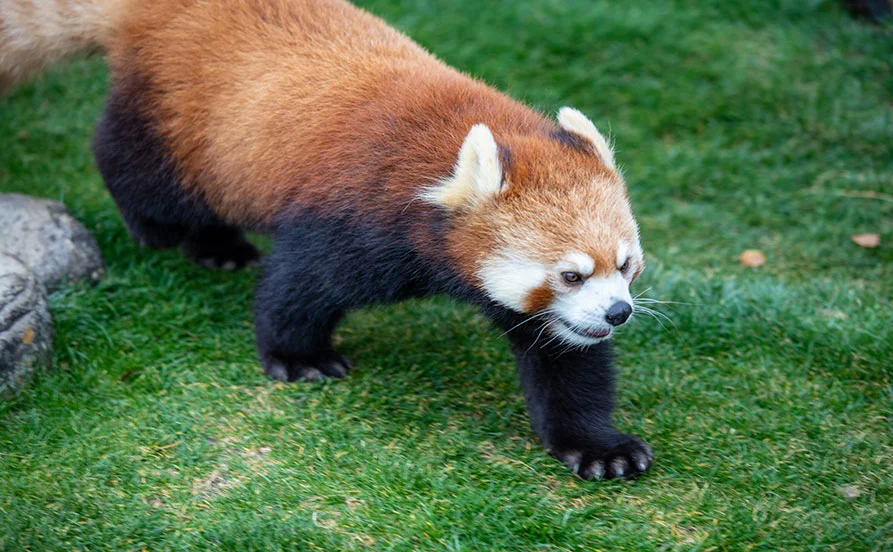 HP用スライダー画像1(左半分)