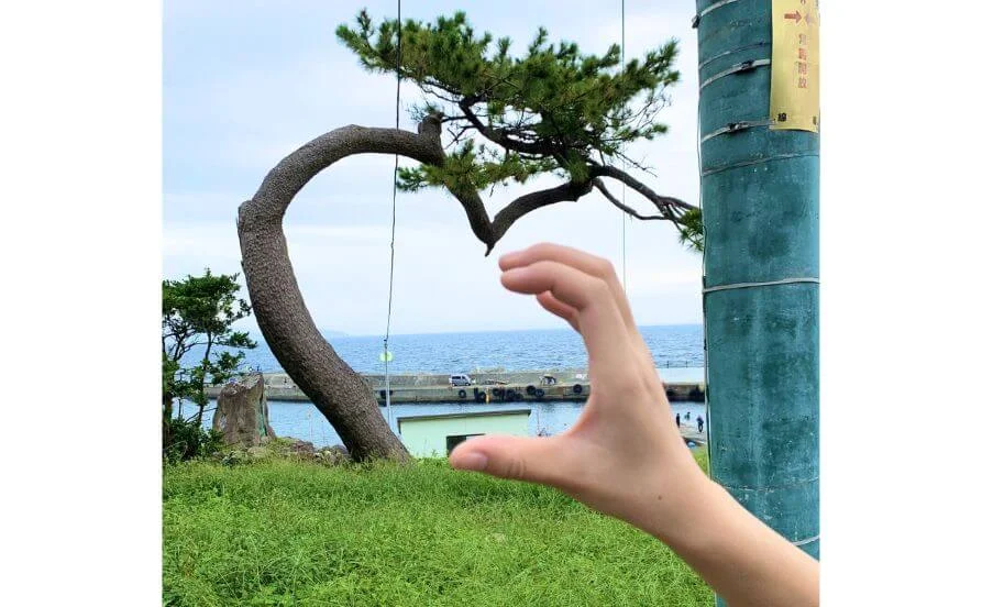 量環境画像（右下の画像）