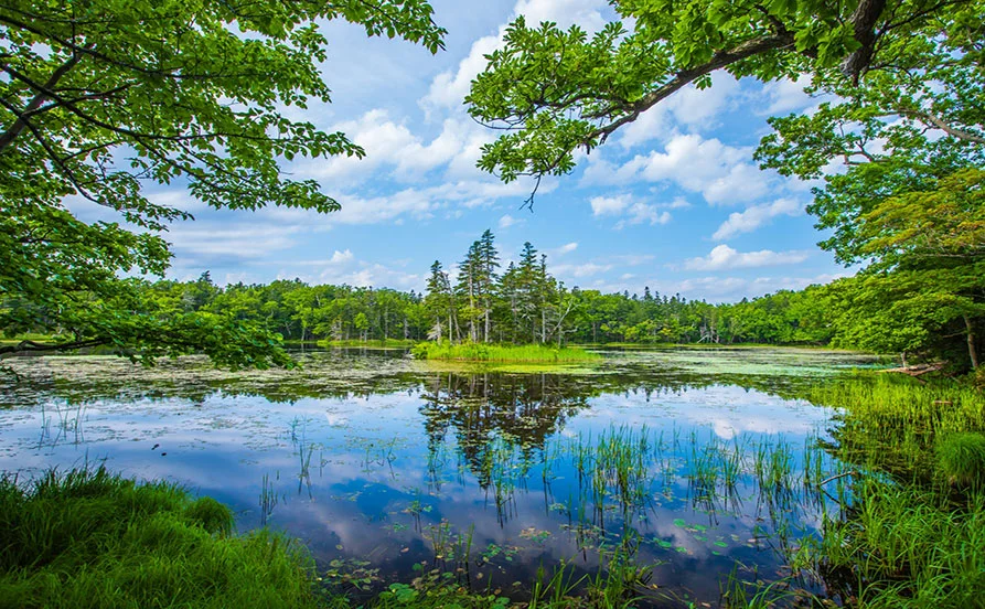 寮費無料×食費無料【生活費ほぼ0円】知床の大型ホテルで勤務✨ 未経験者の応募OK