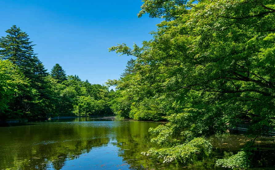 量環境画像（右下の画像）