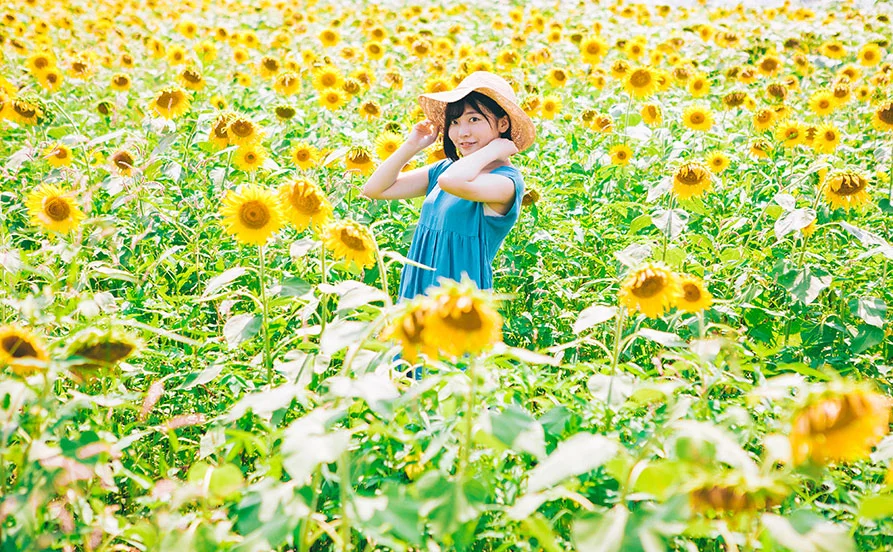 HP用スライダー画像1(左半分)