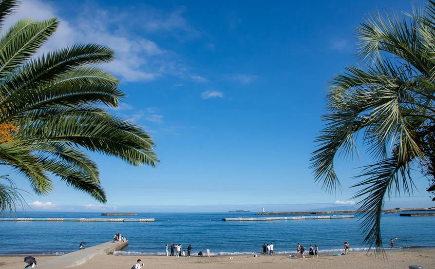 量環境画像（右下の画像）