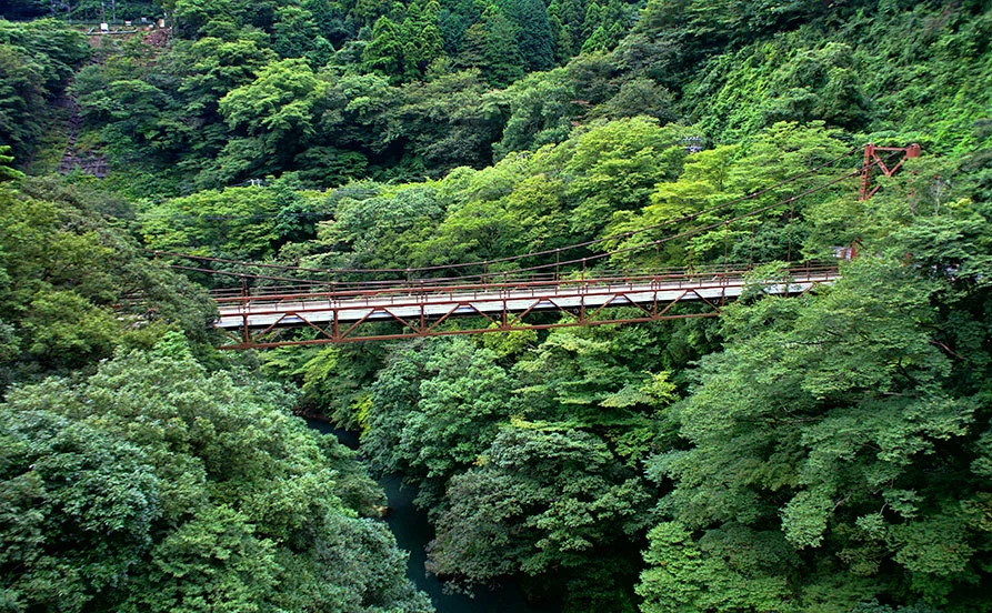 求人メイン