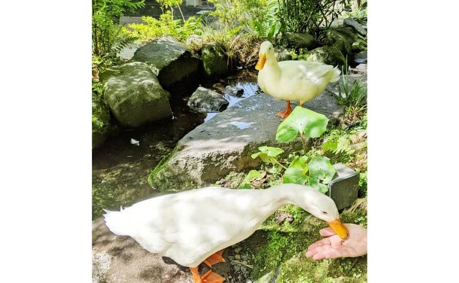 量環境画像（右下の画像）