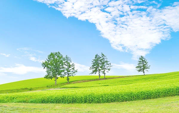 HP用スライダー画像1(左半分)