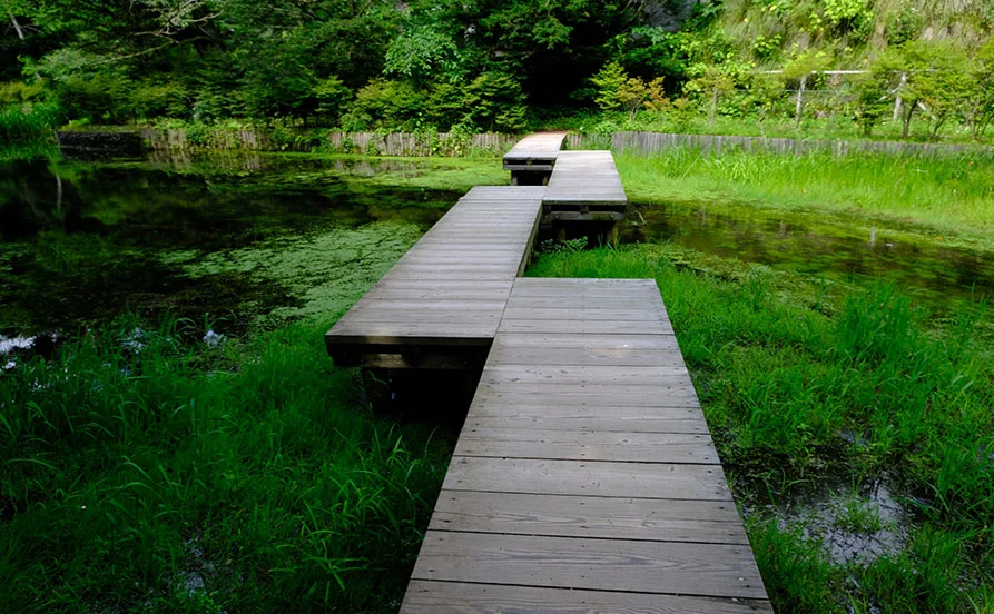 量環境画像（右下の画像）