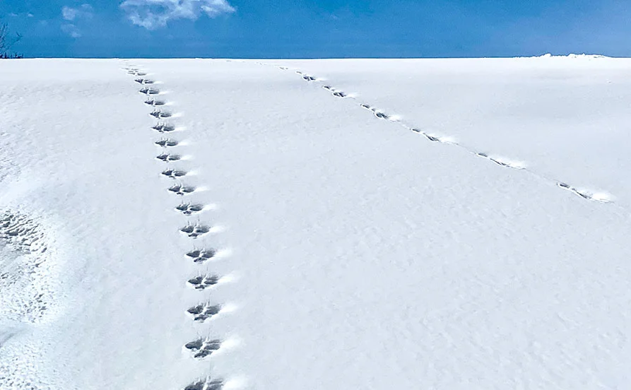 温泉入浴OK!スキー場バイト❄友人同士での応募も歓迎🙌特典◎の好条件です!