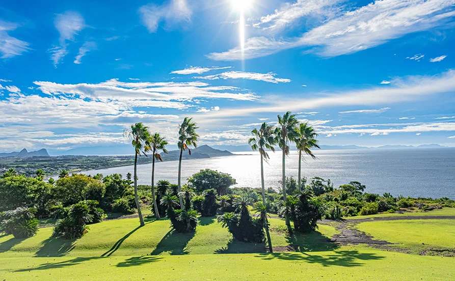 寮費・食費無料！南国ムード満載♪日本のハワイ🌴指宿【生活環境◎】コンビニ・スーパー徒歩圏内