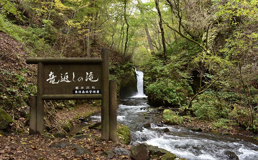 ＼未経験者歓迎🙌洗い場担当／派遣スタッフも多数ではじめての方も安心☆寮は人気の館内です！