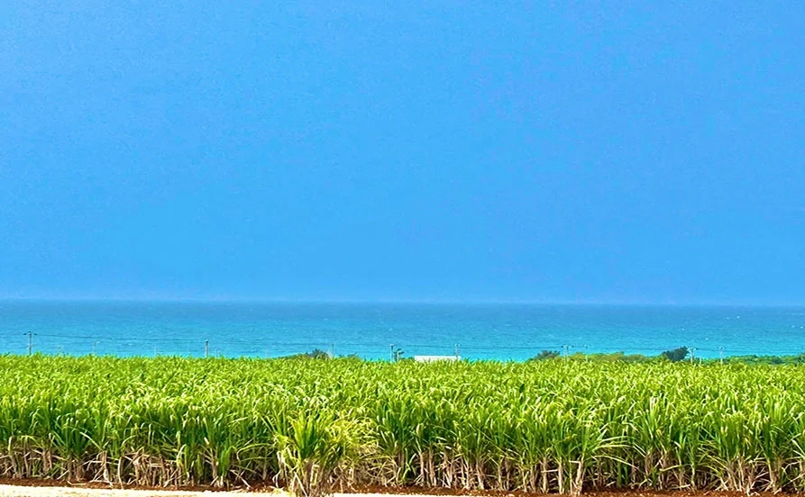 HP用スライダー画像2（右上）