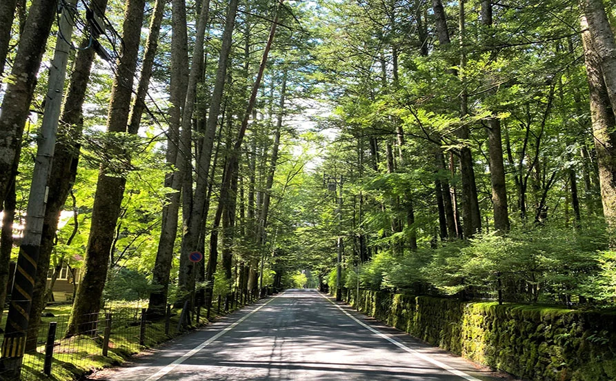 量環境画像（右下の画像）