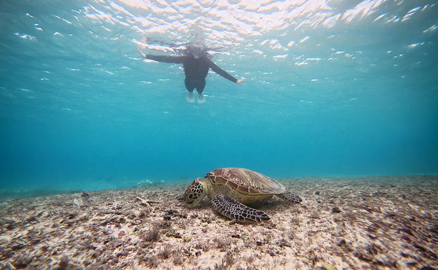 【リゾートバイトスタッフ300名規模】ビーチまで徒歩圏内！リゾートバイトで非日常体験✨【マリンレジャー、施設利用割引特典あり 】
