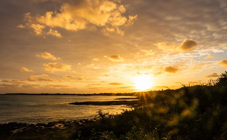 【スタッフからの評価も◎】延長率の高さが信頼の証💎個室寮はトイレ・お風呂付き！快適さにこだわった住環境👍