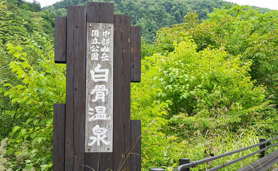 求人メイン