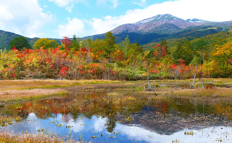＼急募⚡／【短期】10月末まで勤務希望の方募集中🙌日帰り温泉施設の大浴場もスタッフ特典で入浴可能♨【乗鞍高原】