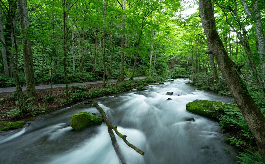 HP用スライダー画像2（右上）